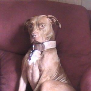 Meet your Posher, Mariah